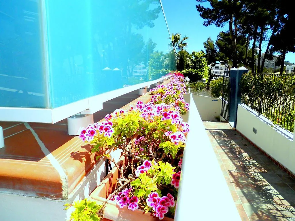 Appartement Apartamentos Petit Blau Peguera Spanje